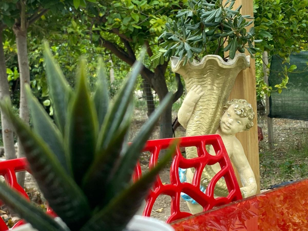 Casa Vacanze Vannuzza Villa โนโต ภายนอก รูปภาพ